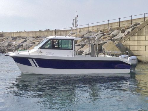 Barca professionale nave idrografica - Cheetah Marine - catamarano / fuoribordo / in alluminio