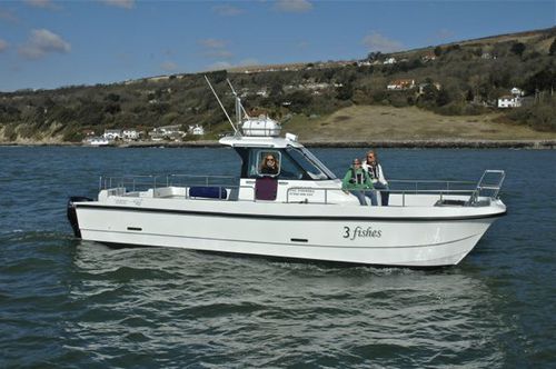 Walkaround catamarano - 3 Fishes - Cheetah Marine - fuoribordo / bimotore / con console centrale