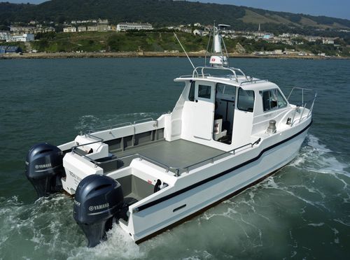 Barca da pesca e diporto catamarano - Bon Vivant - Cheetah Marine - fuoribordo / bimotore / con cockpit chiuso