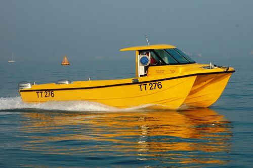 Barca da pesca e diporto catamarano - Pride N Joy - Cheetah Marine - fuoribordo / bimotore / hard-top
