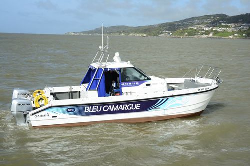 Cabinato catamarano - Bleu Camargue - Cheetah Marine - fuoribordo / bimotore / con cockpit chiuso