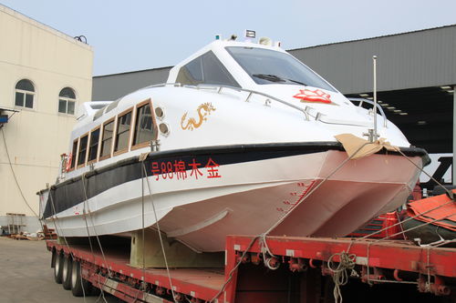 Barca professionale barca per trasporto passeggeri - YB-1288 - Changzhou Youbang Boat Co., Ltd. - fuoribordo