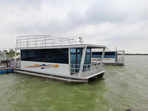 Barca a motore house-boat catamarano - Changzhou Youbang Boat Co., Ltd. - fuoribordo / elettrica / a GPL