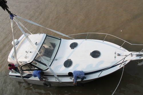 Barca professionale barca da pesca professionale - YB-315 - Changzhou Youbang Boat Co., Ltd. - entrofuoribordo / in fibra di vetro