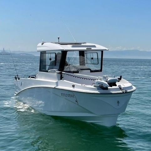Barca da pesca e diporto fuoribordo - 22 FISHER - Driftmark Marine - con cockpit chiuso / da pesca e diporto / da crociera
