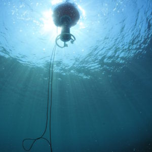Boa oceanografica - REMHY - RTSYS - per segnalazioni speciali