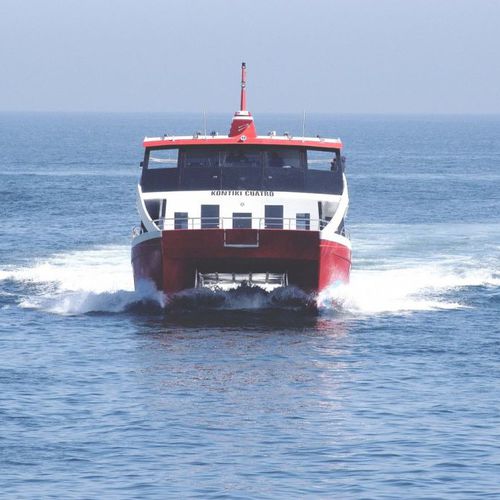 Barca professionale battello turistico - 2500 FCAT DAYLINE - ARESA SHIPYARD - catamarano / entrobordo / GRP
