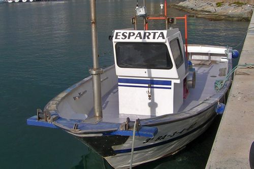 Barca professionale barca ausiliare per pesca professionale - ESPARTA - Drassanes Dalmau, S.A - entrobordo