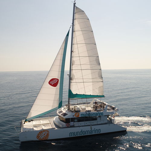 Barca professionale barca per trasporto passeggeri - MUNDO MARINO ECO - Drassanes Dalmau, S.A - catamarano / ibrida diesel-elettrica / per persone a mobilità ridotta