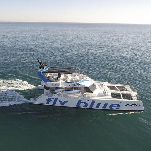 Barca professionale battello turistico - FLY BLUE QUATTRO - Drassanes Dalmau, S.A - catamarano / entrobordo