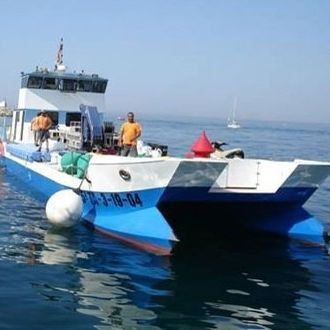 Barca professionale barca da lavoro - SEMAC 25 - Drassanes Dalmau, S.A - imbarcazione di servizio portuale / catamarano / entrobordo