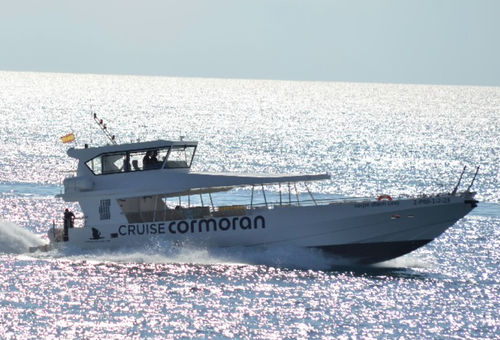 Barca professionale barca per trasporto passeggeri - CARPE DIEM UNO - Drassanes Dalmau, S.A