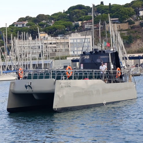 Barca professionale barca per trasporto passeggeri - SEAMYSTIC - Drassanes Dalmau, S.A - catamarano / entrobordo