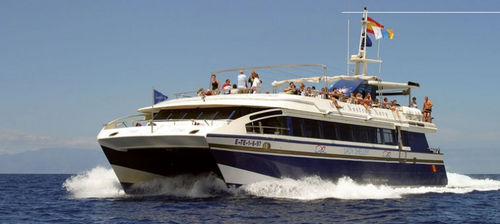 Barca professionale barca da pesca professionale - Lady Shelley - Drassanes Dalmau, S.A - barca a visione subacquea / catamarano / entrobordo
