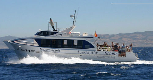 Barca professionale battello turistico - FIRMM SPIRIT  - Drassanes Dalmau, S.A - entrobordo