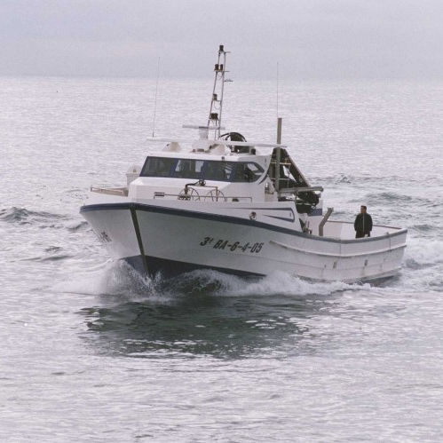Barca professionale barca per la pesca del pesce azzurro - HERMANOS CERVILLA - Drassanes Dalmau, S.A - entrobordo