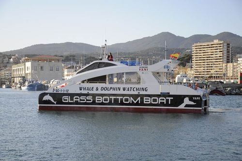 Barca professionale battello turistico - YANI PRIMERA - Drassanes Dalmau, S.A - catamarano / entrobordo