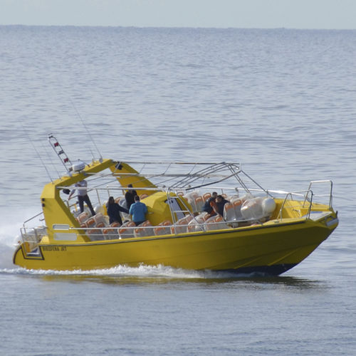 Barca professionale barca da turismo - BIOSFERA JET - Drassanes Dalmau, S.A - entrobordo a idrogetto