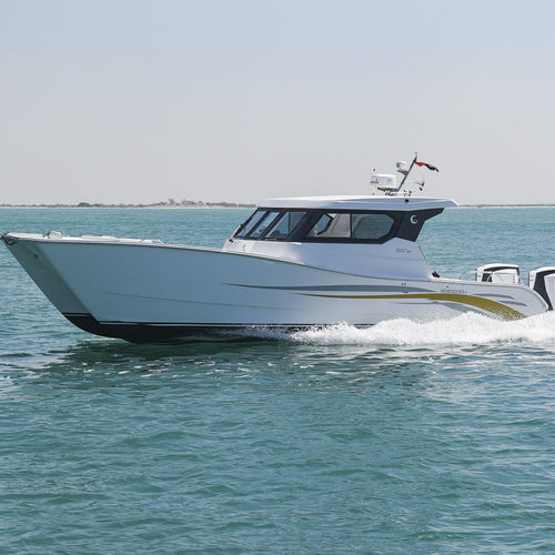 Barca open catamarano - SilverCat 34HT - SMART OWN - fuoribordo / bimotore / hard-top