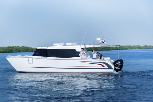 Cabinato catamarano - SilverCat 40LUX​ - SMART OWN - fuoribordo / bimotore / hard-top