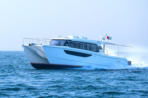 Cabinato catamarano - SilverCat 46LUX​ - SMART OWN - fuoribordo / quadrimotore / hard-top