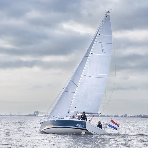 Barca a vela da crociera - 30 - Pointer Yachts - con 2 cabine / con 4 cuccette / con pozzetto centrale