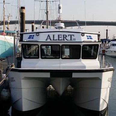Barca professionale barca da pesca professionale - Alert - Catapult Catamarans Marine Projects Ltd - catamarano / entrobordo