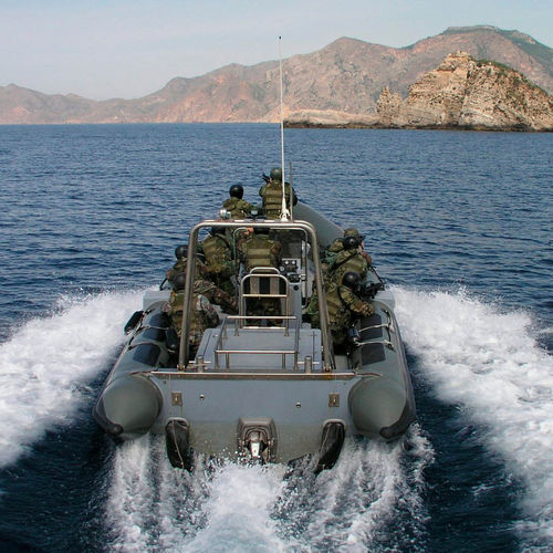 Barca professionale entrobordo - TX-12.0 IB - Vanguard International - diesel / gommone semirigido