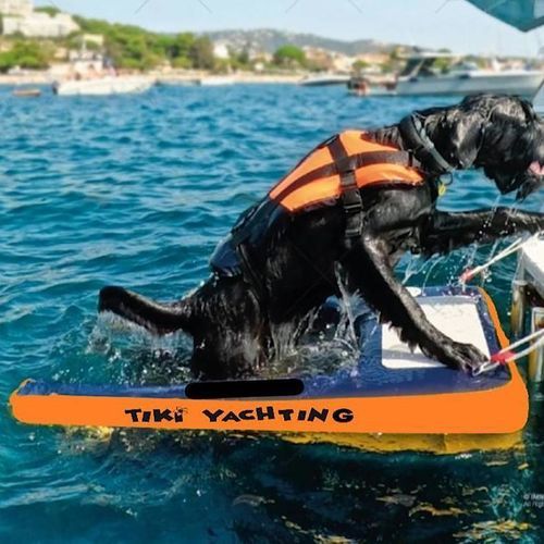 Piattaforma galleggiante - DOG up - TIKI FACTORY - gonfiabile / per barca