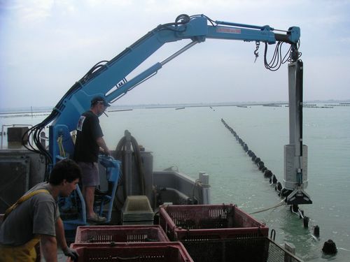 Gru per nave - 6 TM series - DWG Trading - di bordo