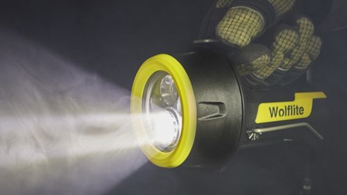 Lampada torcia - XT - Wolf Safety Lamp Company Ltd. - marina / per area pericolosa / LED