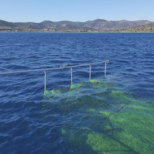 Ugello polverizzatori di navi - ScorSpray  - New Naval Ltd.
