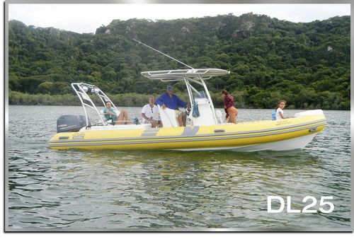 Gommone fuoribordo - DL25 - Make Sense Marine Corp DBA Caribe Nautica - con console centrale / max. 16 persone / con T-top