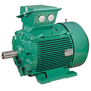 Motore entrobordo - FLSES - Leroy-Somer B.V. - ausiliare / elettrico / professionale