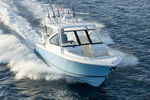 runabout fuoribordo