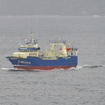 nave da pesca professionale peschereccio a strascico