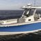 barca open con console centrale290 OUTRAGEBoston Whaler