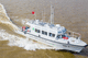 barca professionale patrol boat / fuoribordo / in alluminio
