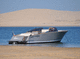 runabout entrobordo / con dual console / open / max. 12 persone