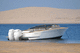 runabout fuoribordo / bimotore / con dual console / open