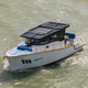 cabinato entrobordo / elettrico / hard-top / max. 12 persone
