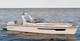 cabinato fuoribordo / bimotore / open / con dual console