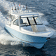 runabout fuoribordo / bimotore / open / con dual console