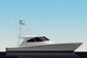 motor-yacht da pesca sportiva / da crociera / offshore / convertibile