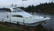motor-yacht catamarano / da pesca sportiva / con fly chiuso / con scafo planante