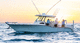 barca open fuoribordo / bimotore / con console centrale / da pesca