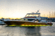 motor-yacht da pesca / da crociera / rapido / con fly