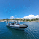 barca professionale in alluminio / patrol boat / barca da lavoro / fuoribordo