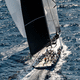 downwind sail / per barca a vela da competizione / per yacht a vela / in poliestere