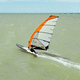 vela da windsurf da vento leggero / da race / SDM / 5 stecche